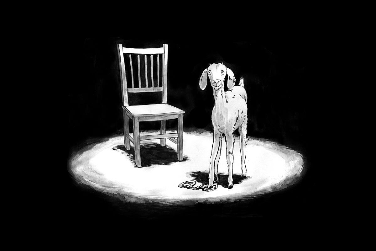 how-long-is-feb-1200x800